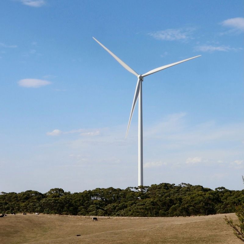 Fair Futures provides the strategic oversight to ensure the wind and solar projects of tomorrow are built on ethical supply chains today