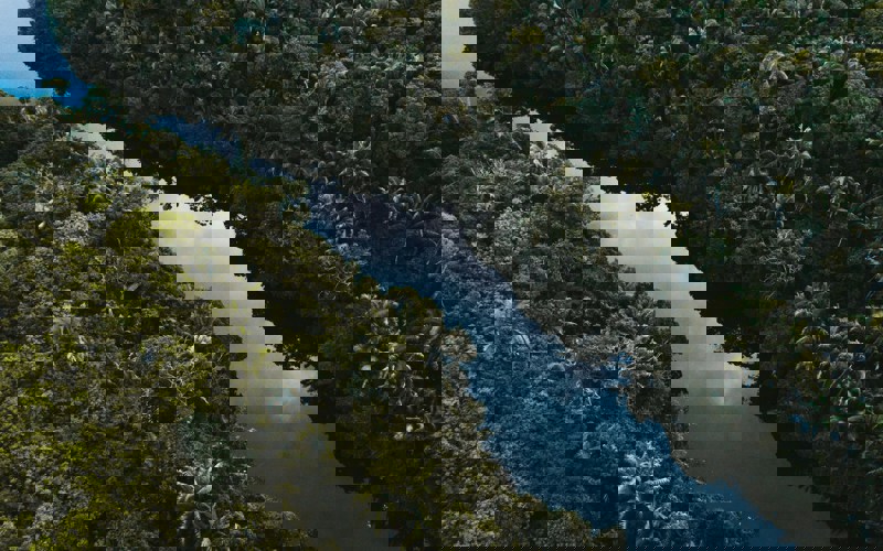 Felipe Dias Ercsc5nef2c Unsplash